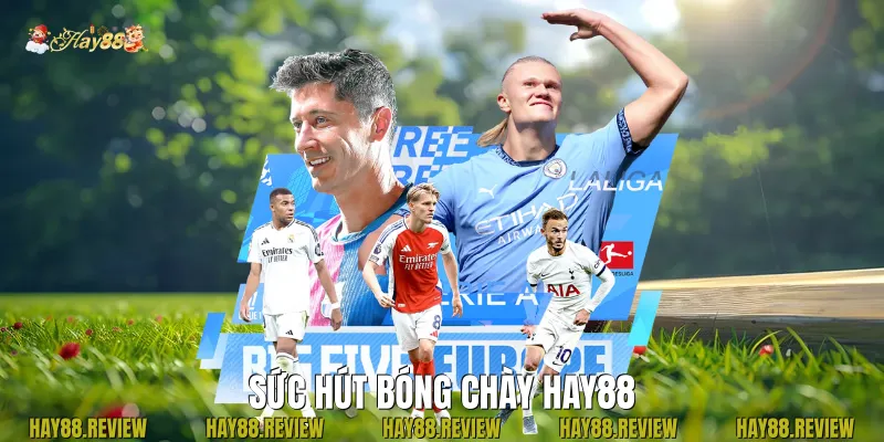 Sức Hút Bóng Chày Hay88